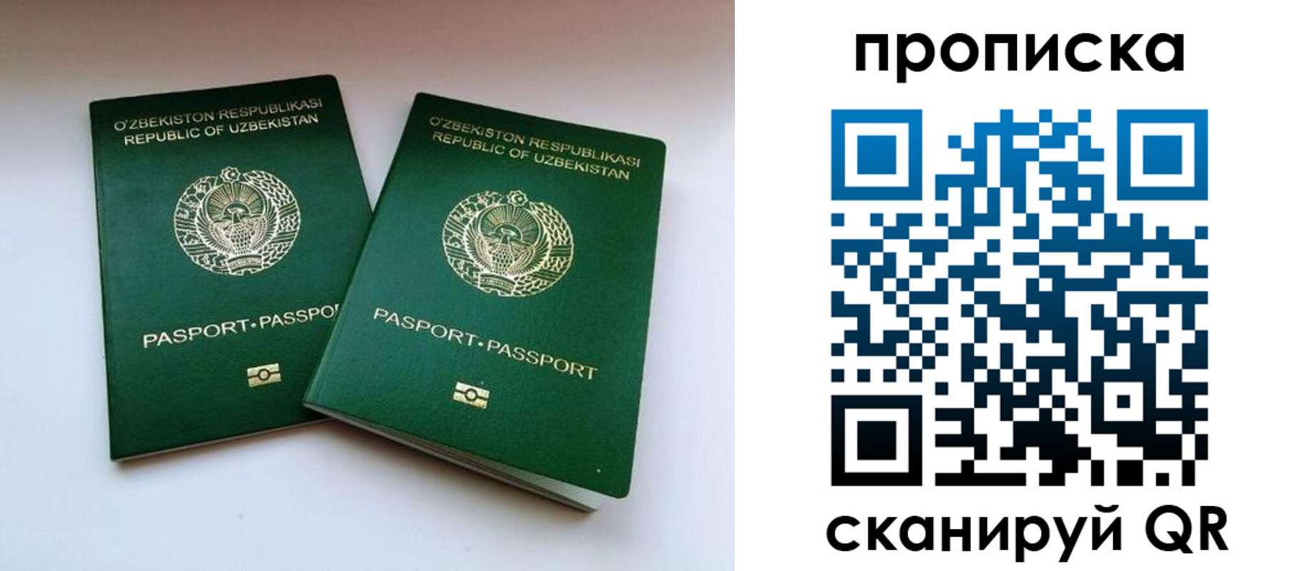 прописка поиск в Шилке